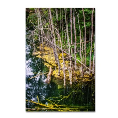 Trademark Fine Art